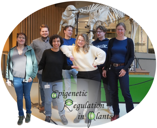 Stam Lab Team Photo